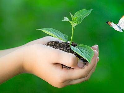 Case Study 1 – Project Future DBT