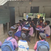 Education 12